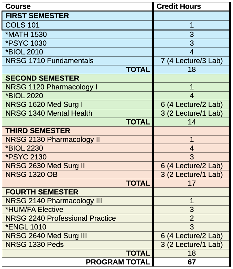 Nursing program of study