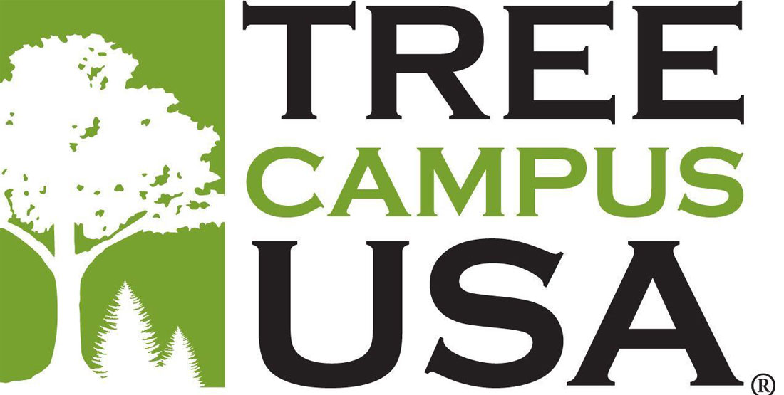 logo of Tree Campus USA